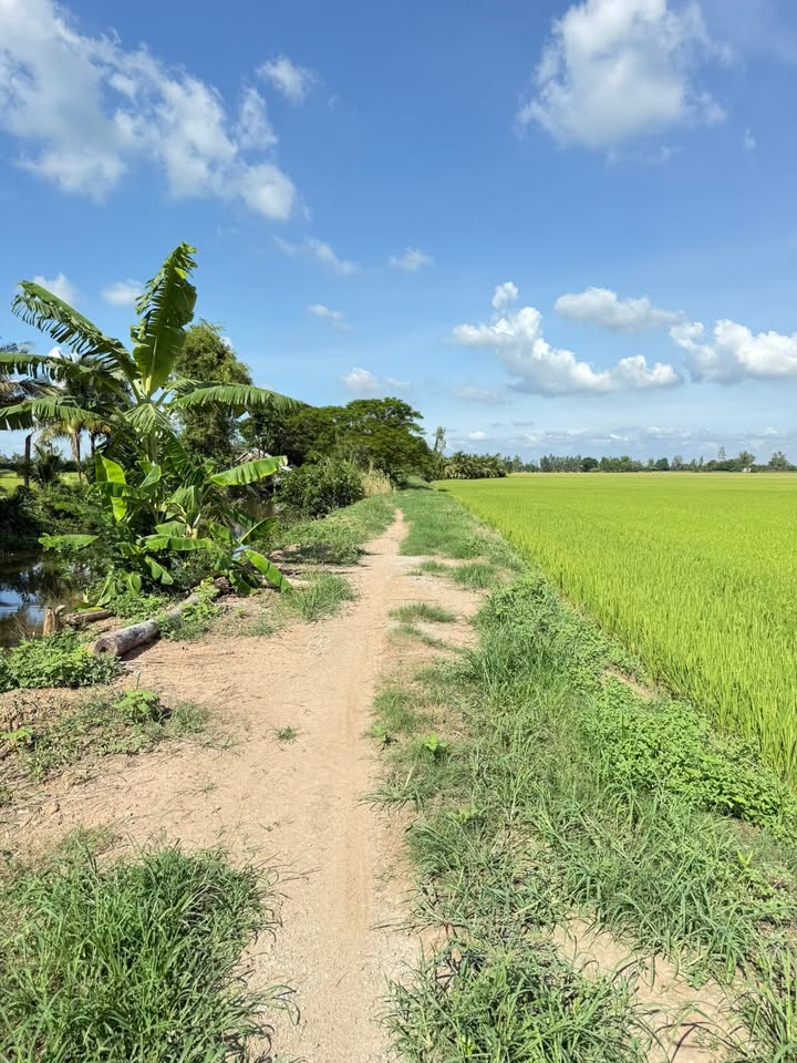 Đất nông nghiệp Cần Đăng 4000m² giá 580 triệu - Tiềm năng phát triển lớn!