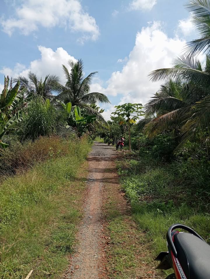 Đất 2.800m² tại xã Long Phước, Vĩnh Long - Giá chỉ 2.2 tỷ, sang gấp!