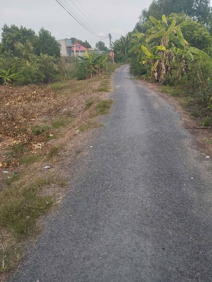 Đất thổ cư Thạnh Quới, Long Hồ 190m² chỉ từ 200 triệu - Giá tốt nhất khu vực!