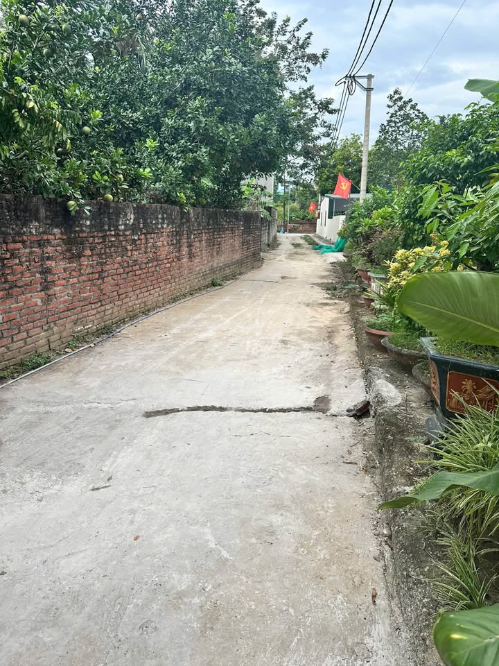 Bán lô đất Trạch Lôi, Trạch Mỹ Lộc 193m² - Giá đầu tư tiềm năng cao!