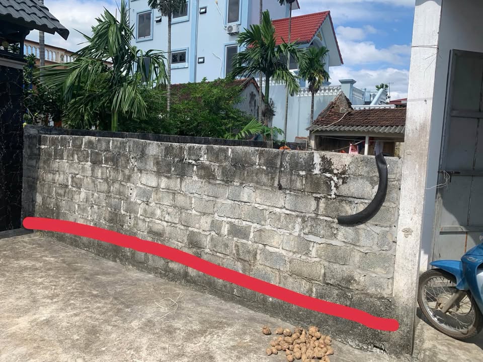 Đất thổ cư Đình Lê, Tuy Lai, Mỹ Đức 84m² giá 1 tỷ - Pháp lý rõ ràng, phong thủy tốt!