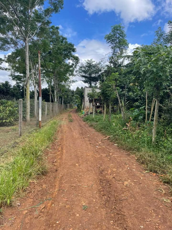 Đất nền Thống Nhất, Buôn Hồ 10.800m² giá 440 triệu - Đầu tư sinh lời ngay!