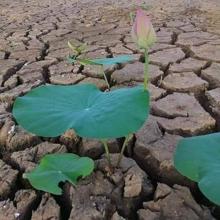 Đất thổ cư 200m² mặt đường A Mí Đoan, phường An Lạc chỉ 750 triệu - Cơ hội đầu tư tuyệt vời!