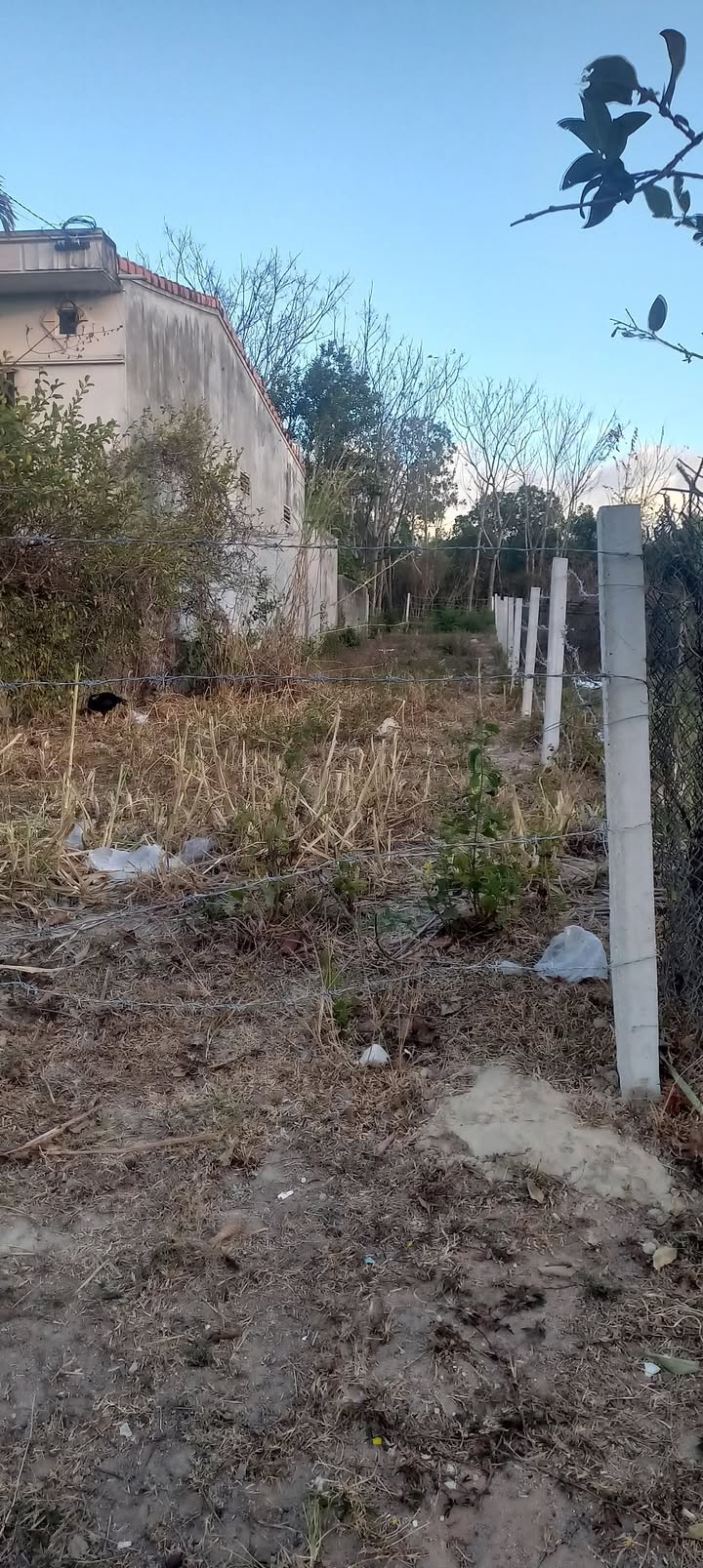 Đất nền đường Đồng Nai, phường Lê Lợi, 275m² - Giá thỏa thuận hấp dẫn!