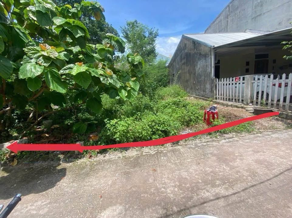 Đất liền kề ô tô Hoài Thanh 244m² giá 3 tỷ - Pháp lý sổ hồng chính chủ!