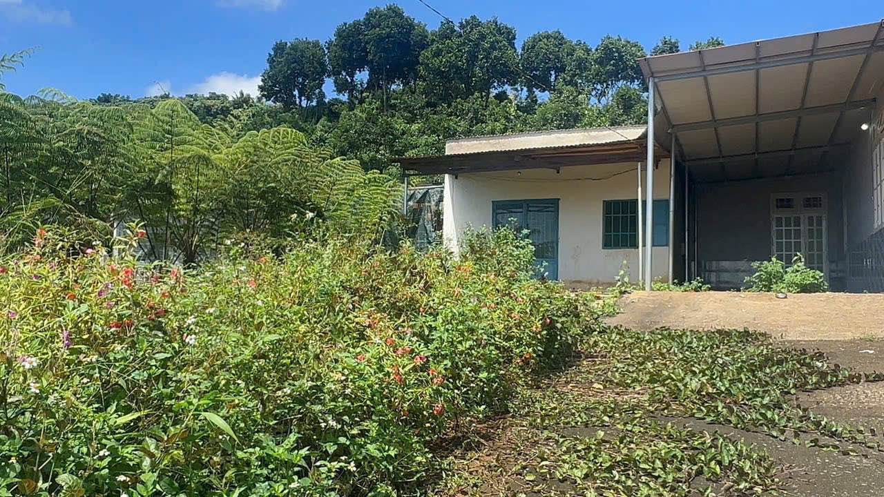 Nhà cấp 4 mini mặt tiền đường 23, xã Lộc Ngãi, 145m² chỉ 430 triệu - Cơ hội mua nhà giá rẻ!