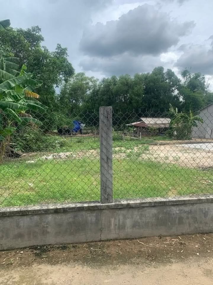 Đất nền An Đức, Cát Trinh, Phù Cát 100m² giá chỉ 2xx triệu - Cơ hội đầu tư tuyệt vời!