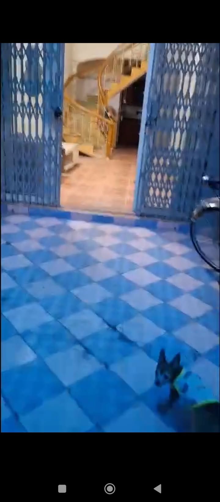 Nhà riêng Ngõ 239 Đà Nẵng 55m² giá 2.69 tỷ - Ngõ rộng thoáng mát!