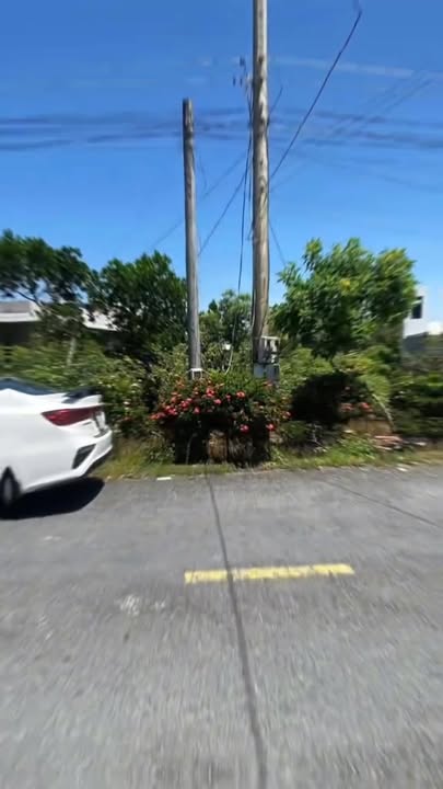 Đất vườn sầu riêng 15000m² tại Mỹ Trung, Cái Bè - Giá chỉ 2 tỷ, thu hoạch ngay!