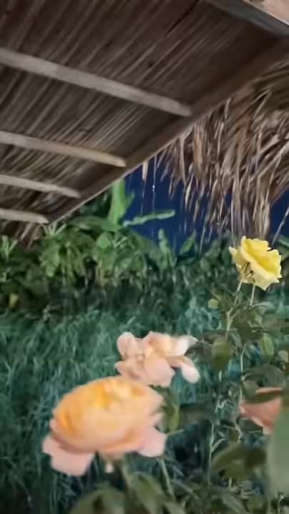 Nhà nghỉ dưỡng phong cách miền Tây Tân Phú Đông 340.8m² giá 2.368 tỷ - Sẵn sàng vào ở ngay!