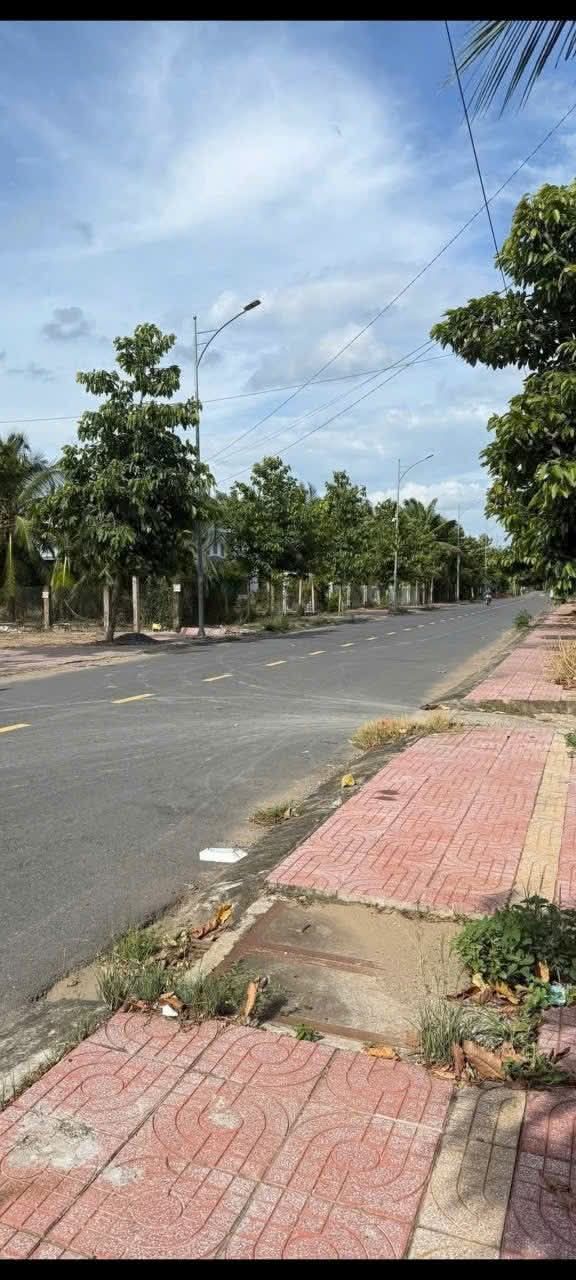 Đất nền mặt tiền đường Cao Đăng Chiếm, Nhị Mỹ, Cai Lậy 245m² chỉ 2.6 tỷ - Cơ hội đầu tư hấp dẫn!