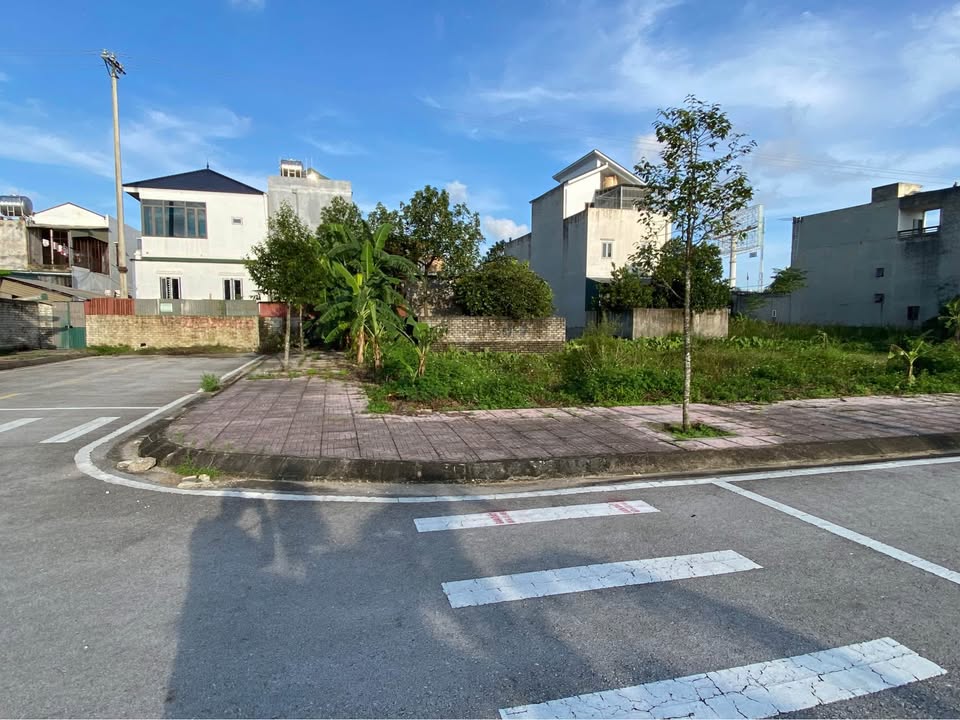 Đất Biệt Thự Khu Đô Thị Ecopark Tân Phong 320m² - Giá Rẻ Nhất Thị Trấn!