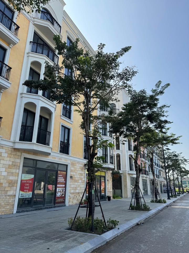 Bán nhà 2 tầng mặt đường Nguyễn Du, Sầm Sơn, 115m² - Tiềm năng kinh doanh lớn!