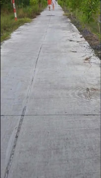 Đất nền Quy Đức, Bình Chánh 1000m² giá 6.5 tỷ - Sổ hồng chính chủ, đầu tư sinh lời!