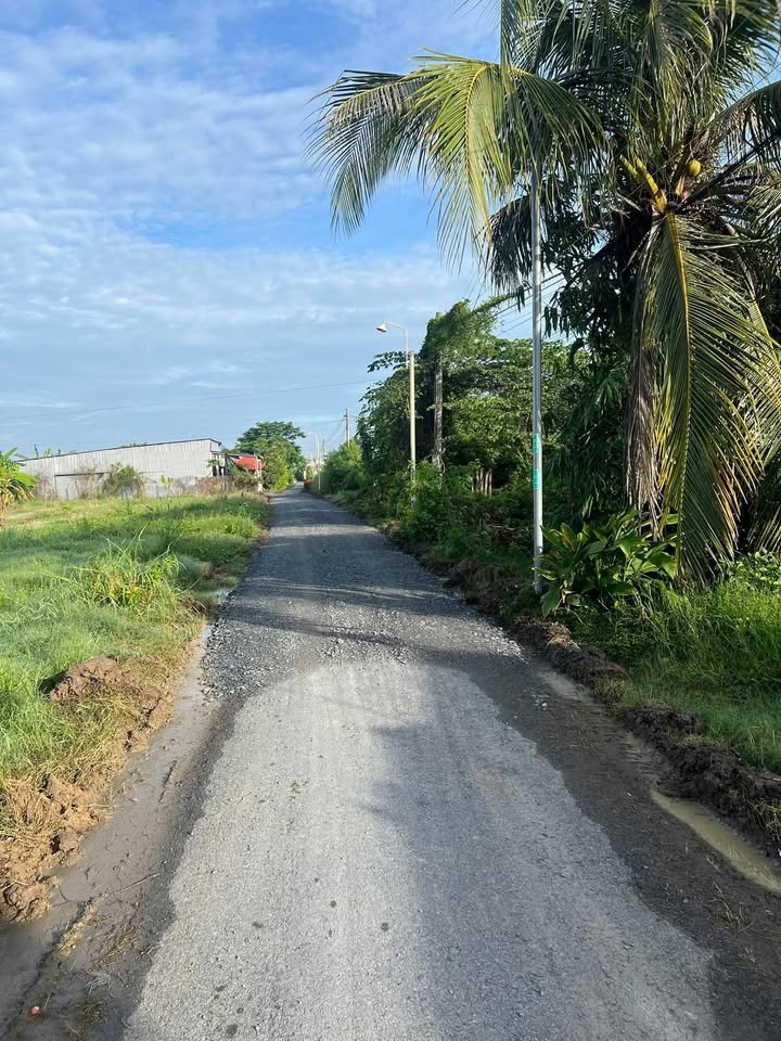 Đất nền đường Bờ Kinh 1, Tân Đông, 252m² chỉ 450 triệu - Cơ hội đầu tư hấp dẫn!