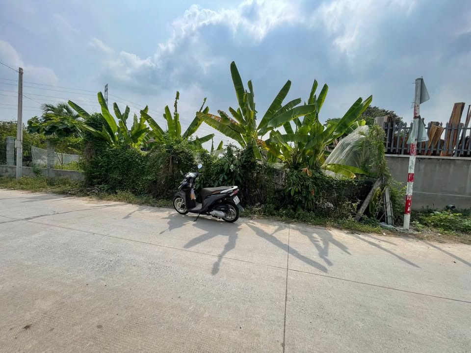 Đất nền Củ Chi 155m² giá 1.85 tỷ - Mặt tiền đường bê tông