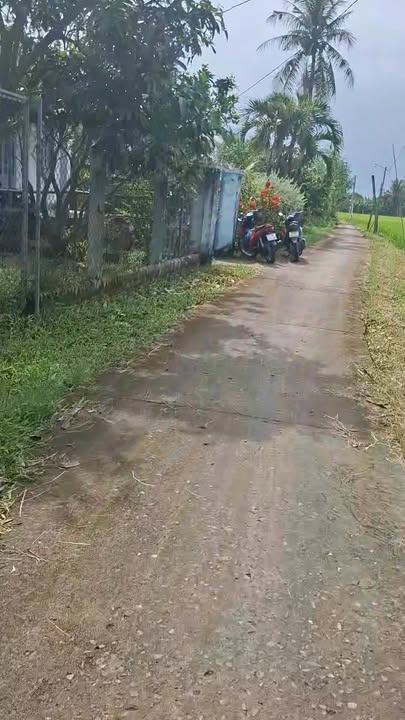 Đất nền Thạnh Phong, Yên Luông, Gò Công Tây 142m² giá thỏa thuận - Đường xe hơi thông thoáng!