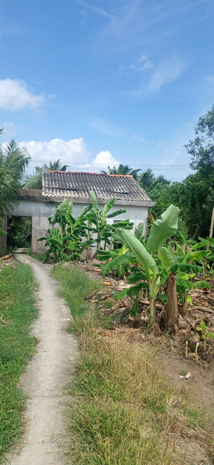 Đất nền 500m² tại Cần Đước, Long An chỉ 850 triệu - Đầu tư lý tưởng!