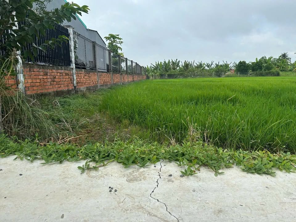 Đất thổ cư Tân Trụ Long An 940m² giá chỉ 2.1 tỷ - Tiềm năng sinh lời cao!