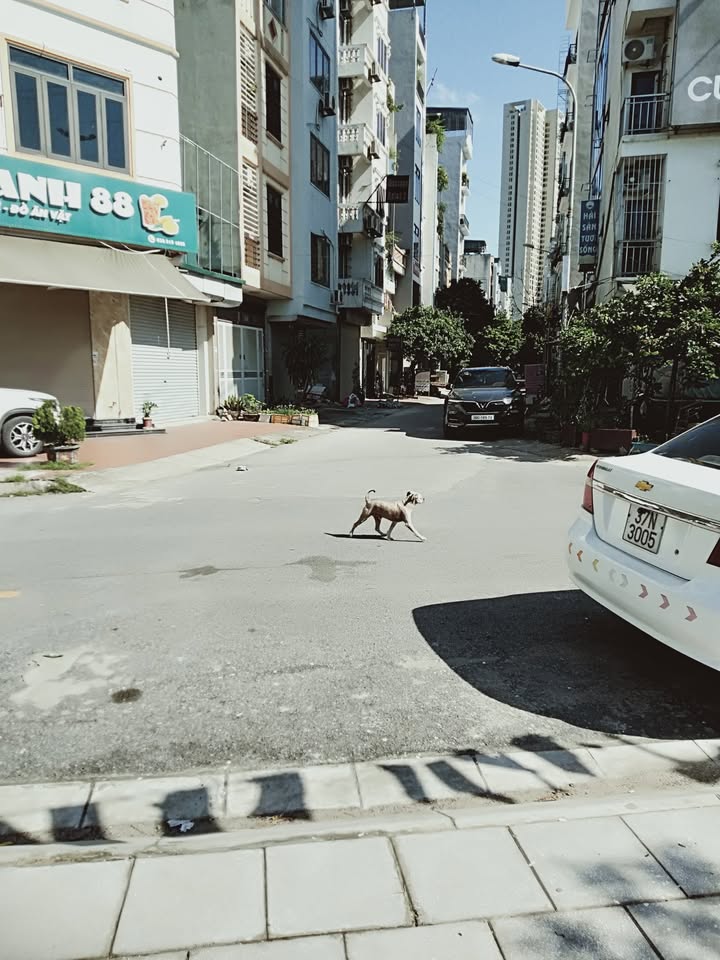 Lô đất liền kề La Khê Hà Đông 50m² giá 13 tỷ - Đầu tư sinh lời ngay!