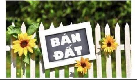 Đất nền Nguyễn Đức Cảnh 62m² giá 2.8 tỷ - Cơ hội đầu tư hấp dẫn!