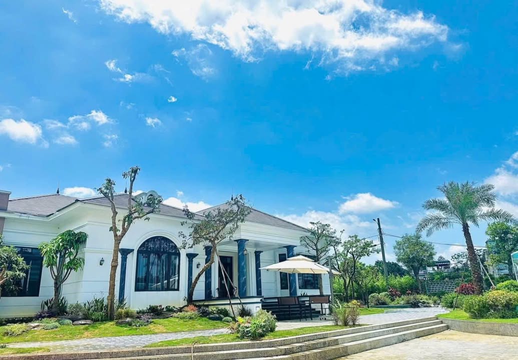 Biệt thự Nhuận Trạch Lương Sơn 2200m² - Lô góc 2 mặt tiền đắc địa!