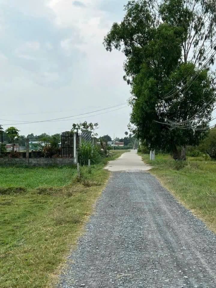 Đất thổ cư 1000m² xã Hòa Khánh Nam, Đức Hòa, giá 4 tỷ - Đầu tư sinh lời ngay!