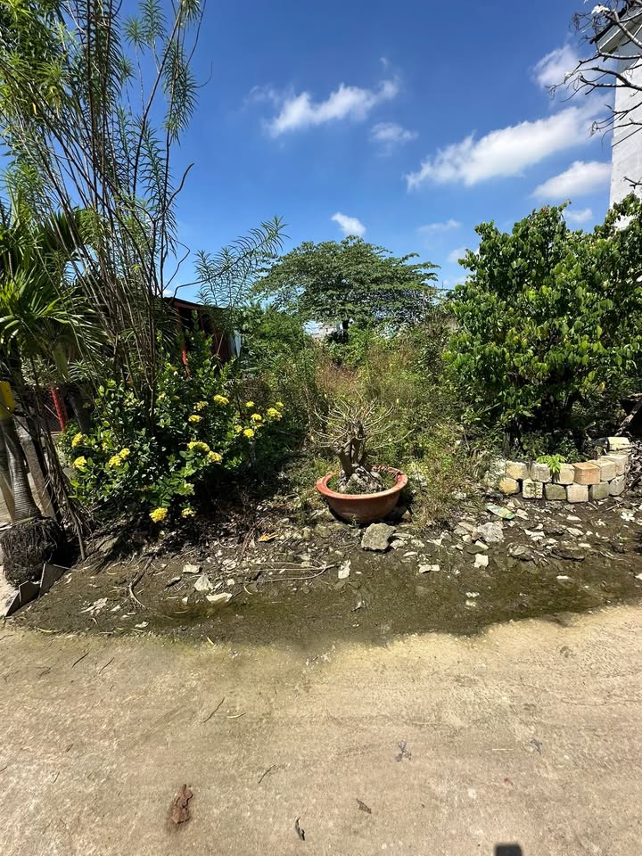 Bán đất thổ cư 231m² tại Hẻm 154 Vườn Lài, Q12 - Giá chỉ 11.55 tỷ