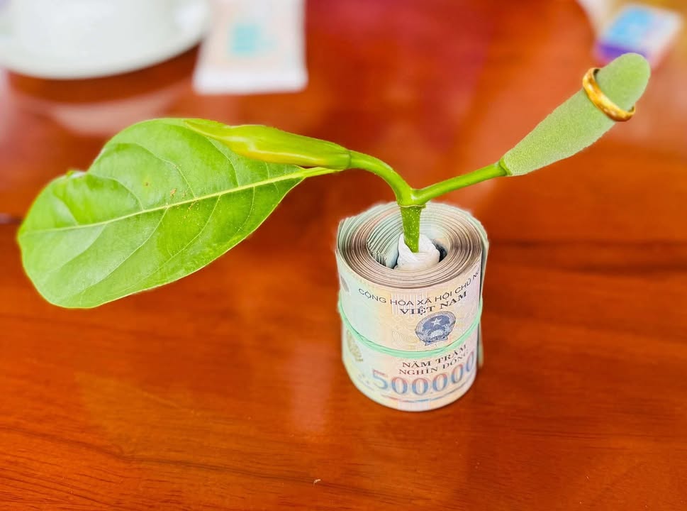 Đất nền Điện Nam Bắc 110m² giá 2 tỷ - Cơ hội đầu tư hấp dẫn!