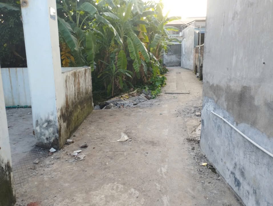 Đất nền tại thôn Mỹ Tranh, xã Nam Sơn, An Dương 100m² giá 1.5 tỷ - Sổ đỏ chính chủ!