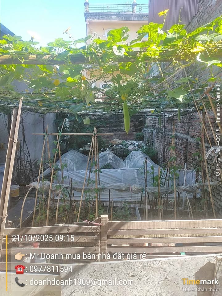 Đất nền chính chủ khu phố Đồng Hương, Phù Khê, Từ Sơn 50m² giá chỉ 1 tỷ - Có thương lượng!