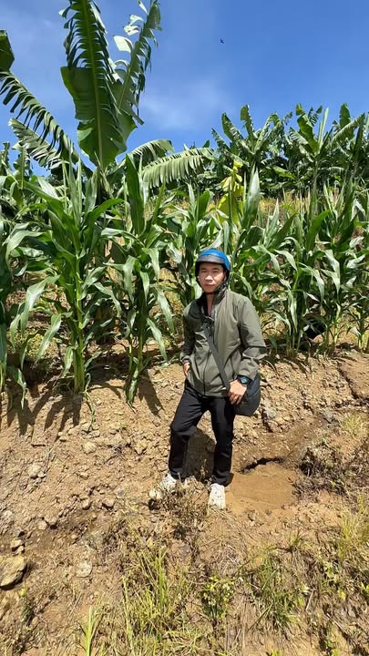 Đất 3000m² Xã Đinh Lạc Di Linh giá 630 triệu - View sông Đồng Nai tuyệt đẹp!