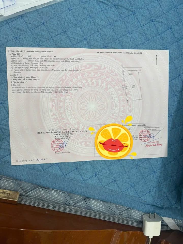 Đất trồng cây 180m² tại Chúc Sơn, Chương Mỹ - Giá chỉ 800 triệu thương lượng!