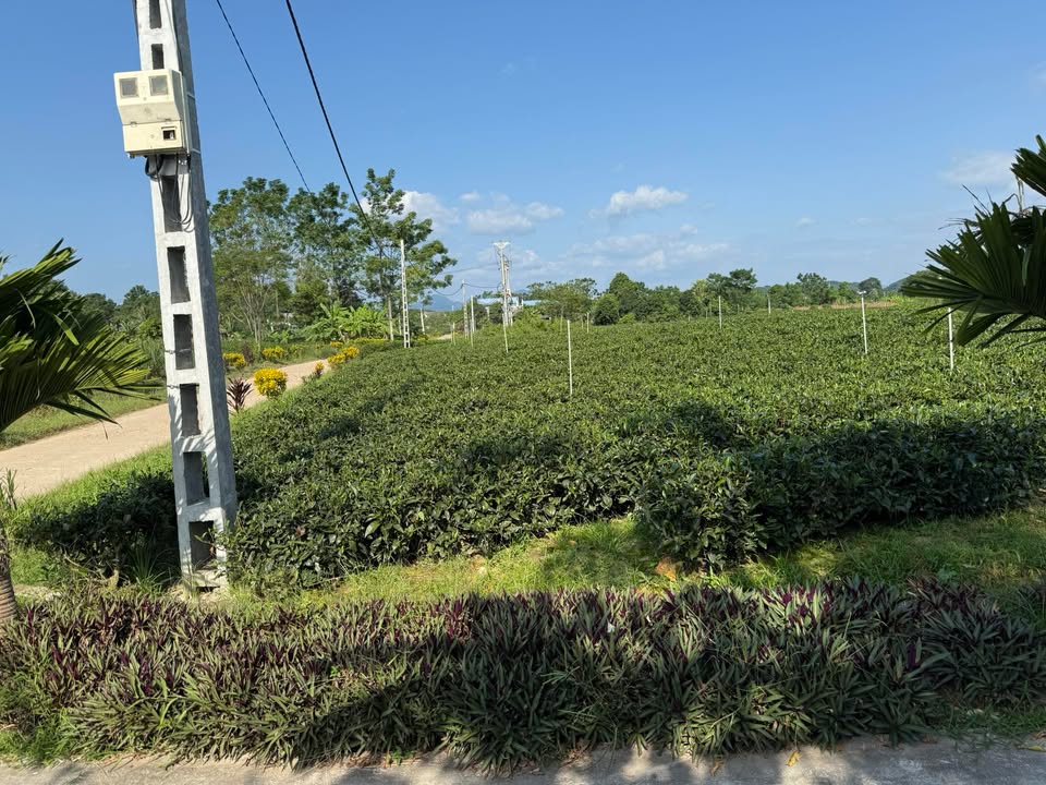 Đất nền Tức Tranh, Phú Lương 1000m² giá 890 triệu - Tiềm năng làm nhà vườn lý tưởng!