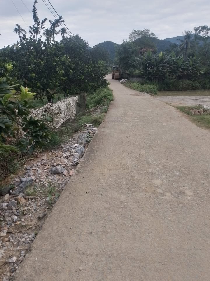 Đất nền Phú Thành, Lạc Thủy 600m² giá 1 tỷ - Đầu tư sinh lời ngay!