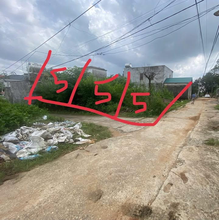 Đất nền Quang Minh Mê Linh 80m² giá 2.5 tỷ - Đường ô tô vào tận nơi!