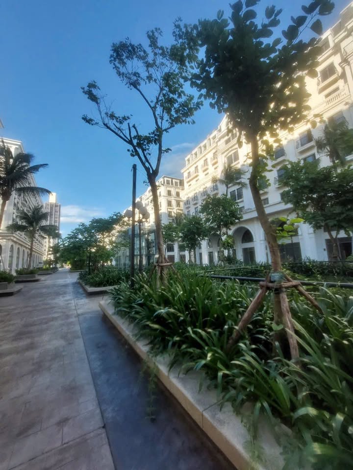 Shophouse Marina Square Hạ Long 182m² giá từ 20 tỷ - Cơ hội đầu tư vàng!