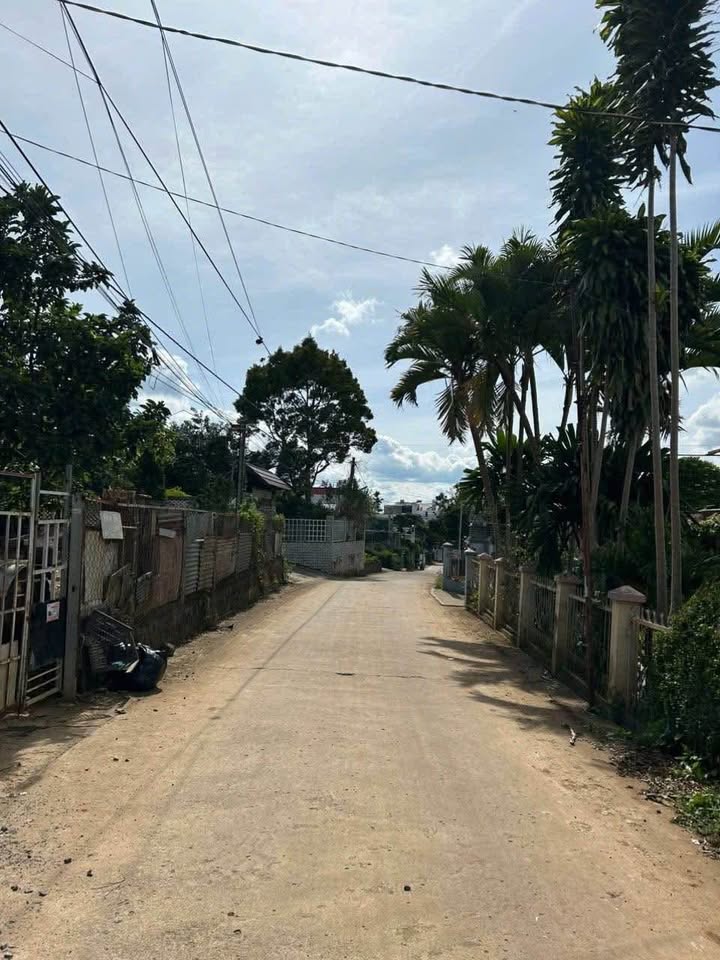 Đất nền Liên Hiệp, Đức Trọng 100m² giá tốt - Đầu tư sinh lời ngay!