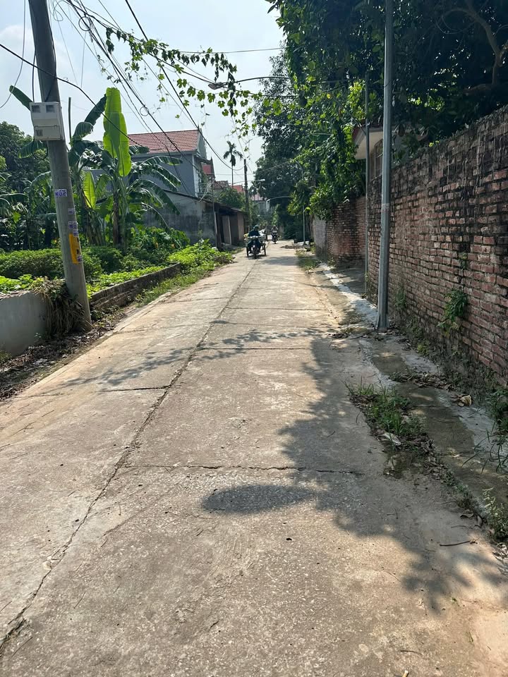 Đất thổ cư Hồng Thái Phú Xuyên 99m² giá 2 tỷ - Kinh doanh đỉnh cao!