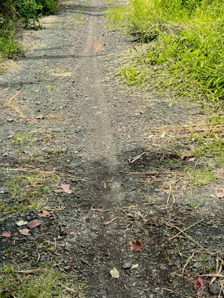 Đất nông nghiệp tại xã Xuân Bảo, Cẩm Mỹ, Đồng Nai 360m² giá 700 triệu - Đầu tư sinh lời ngay!