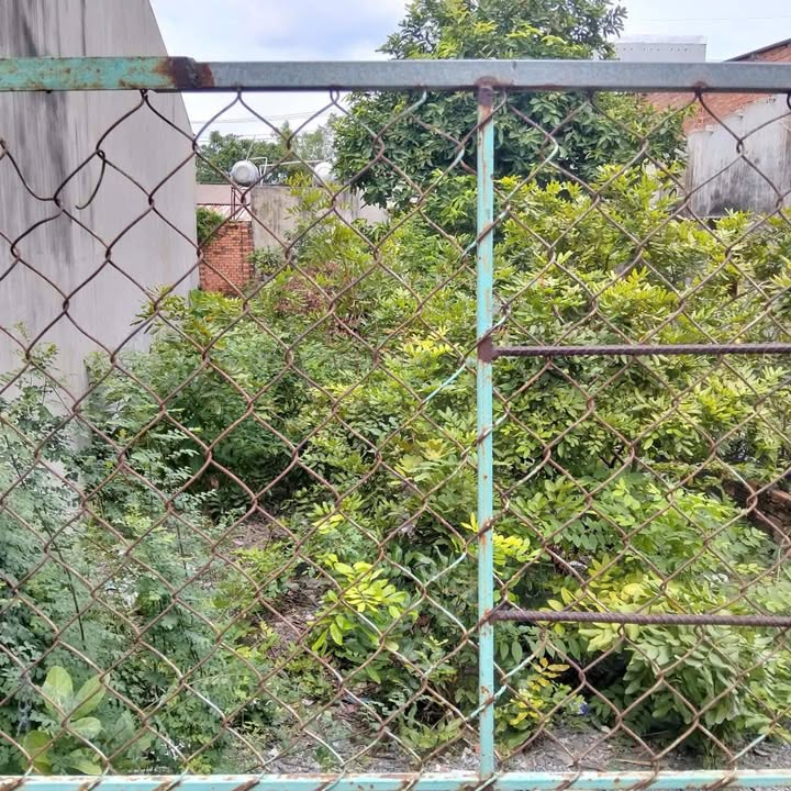 Đất thổ cư 157m² tại An Phú, Thuận An - Giá chỉ 2,2 tỷ, cơ hội đầu tư tuyệt vời!