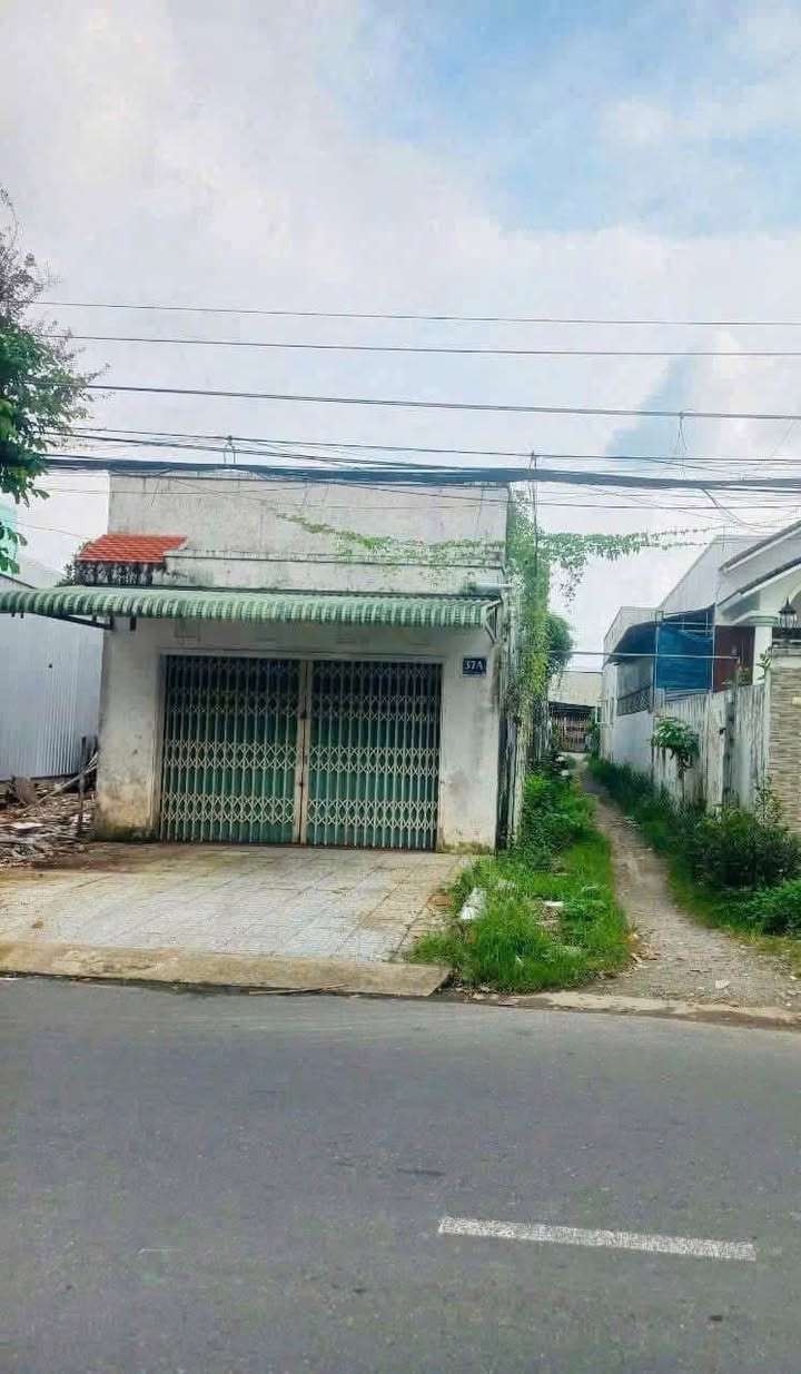 Nhà cấp 4 và đất mặt tiền đường Ngô Văn Sở 272m² giá 3.3 tỷ - Kinh doanh đa ngành nghề