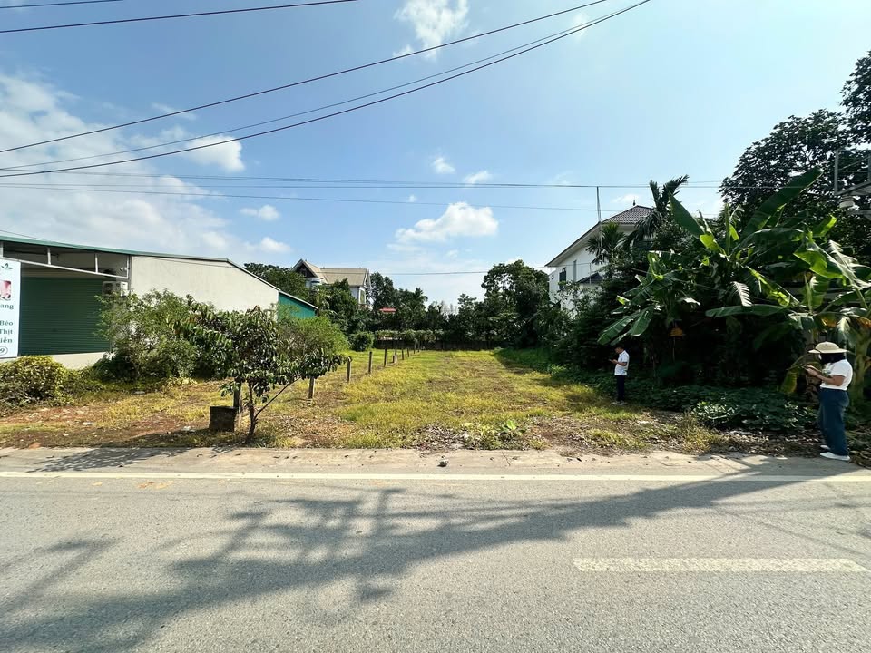 Đất thổ cư 100m² Tỉnh lộ 84, Ba Vì 300m² - Siêu phẩm mặt đường, giá mềm!