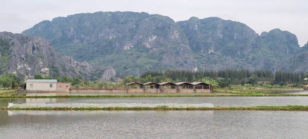 Đất vườn Gia Vân, Ninh Bình 4000m² - Tiềm năng phát triển cao!