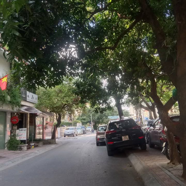 Bán đất xây dựng văn phòng Cầu Giấy 98m² giá 30 tỷ - Đầu tư sinh lợi cao!