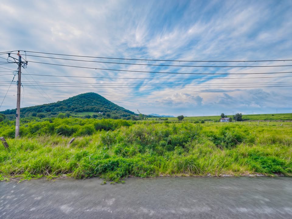 Đất mặt tiền Nguyễn Minh Châu, Tân Tiến, Lagi 5.376m² chỉ 12.9 tỷ - Tiềm năng đầu tư lớn!