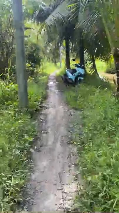 Đất mặt tiền 500m² tại xã Tài Văn, huyện Trần Đề - Giá chỉ 190 triệu!