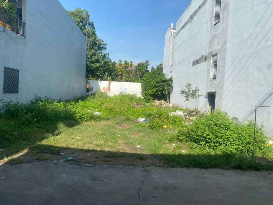 Đất thổ cư 350m² đường Lồ Ô, phường Đông Hòa, Dĩ An - Giá chỉ 12.3 tỷ, thương lượng!