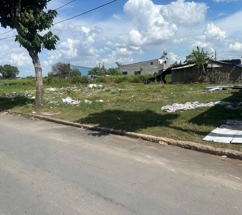 Đất mặt tiền nhựa xã Bà Điểm Hóc Môn 145m² giá 4.5 tỷ - Phù hợp xây dựng ngay!