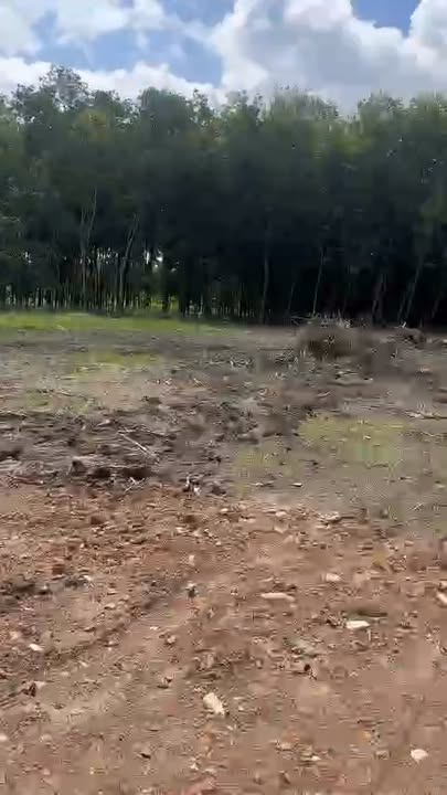 Đất thổ cư Minh Lập Chơn Thành 265m² giá chỉ 200 triệu - Sổ hồng sẵn!